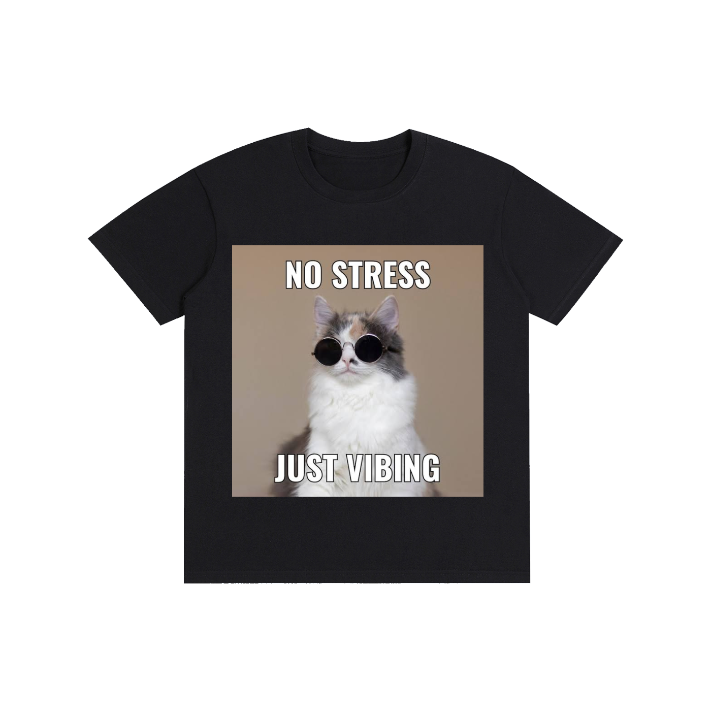 Meme Tee 7