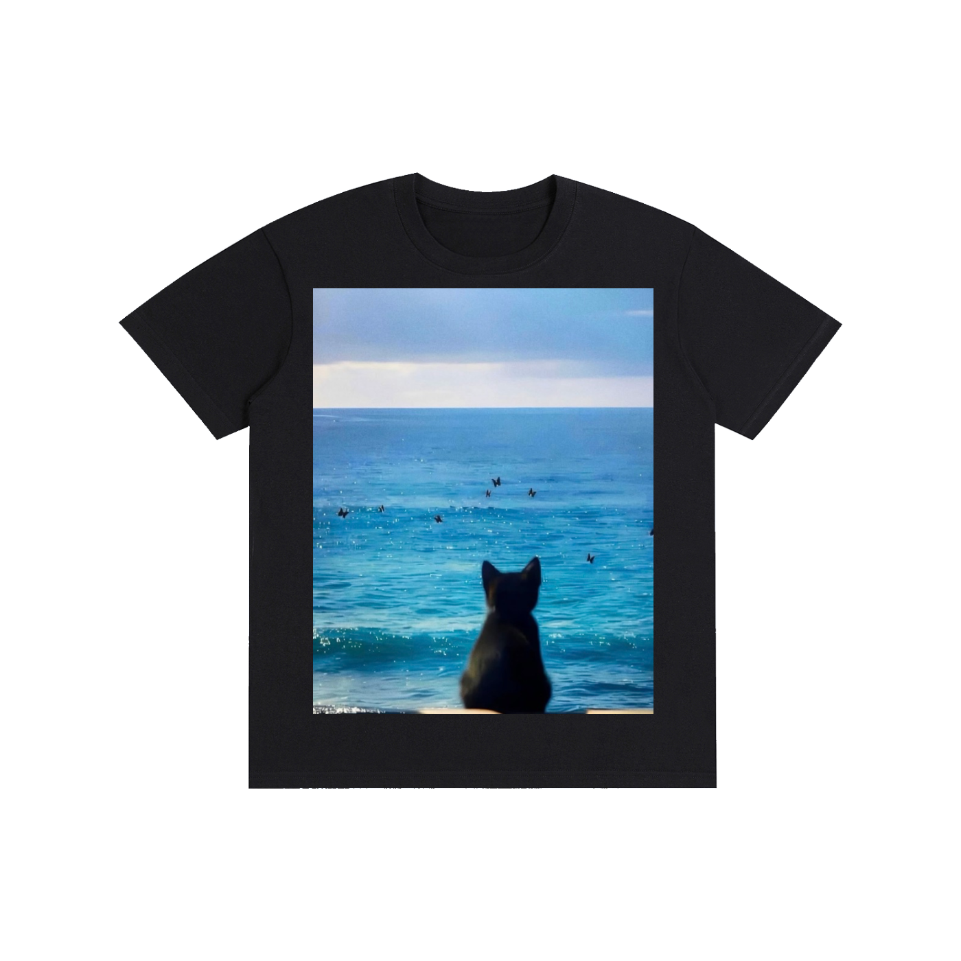 Ocean cat